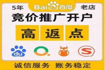 实战技巧：竞价推广案例解析与效果评估